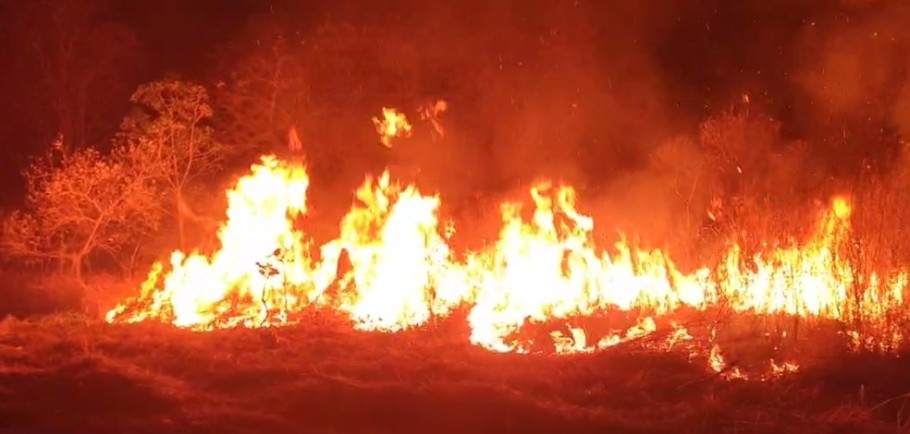 Fiscalização Ambiental