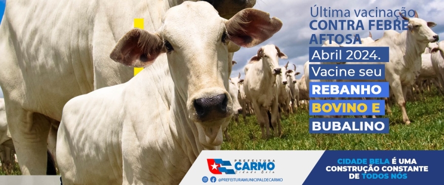 Última vacinação contra a Febre Aftosa