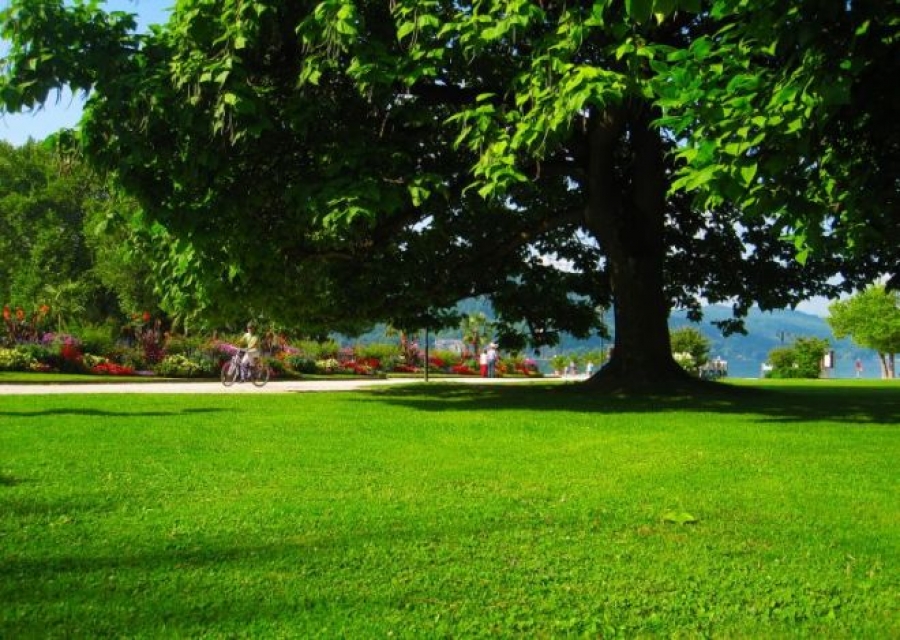 Manutenção e Criação de Parques, Praças e jardins