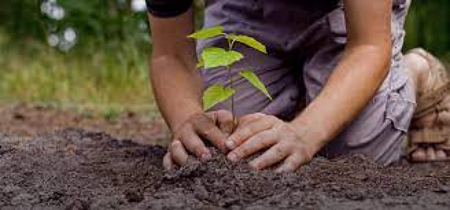 Educação Ambiental