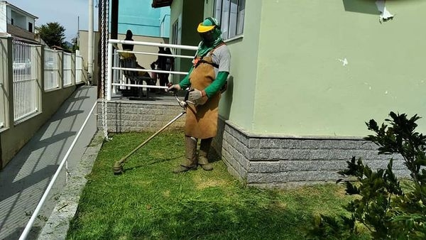 Capina e poda de &aacute;rvores