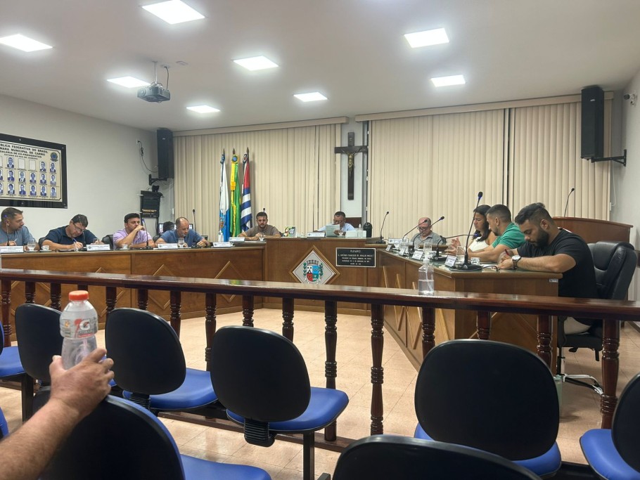 C&acirc;mara de Vereadores aprova por unanimidade a Lei 2.595, que institui o PROMEA