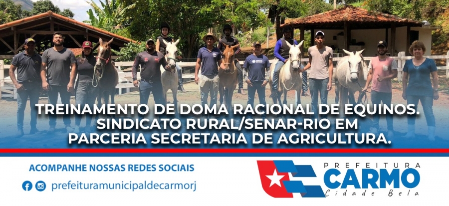 Treinamento de Doma Racional de Equinos.