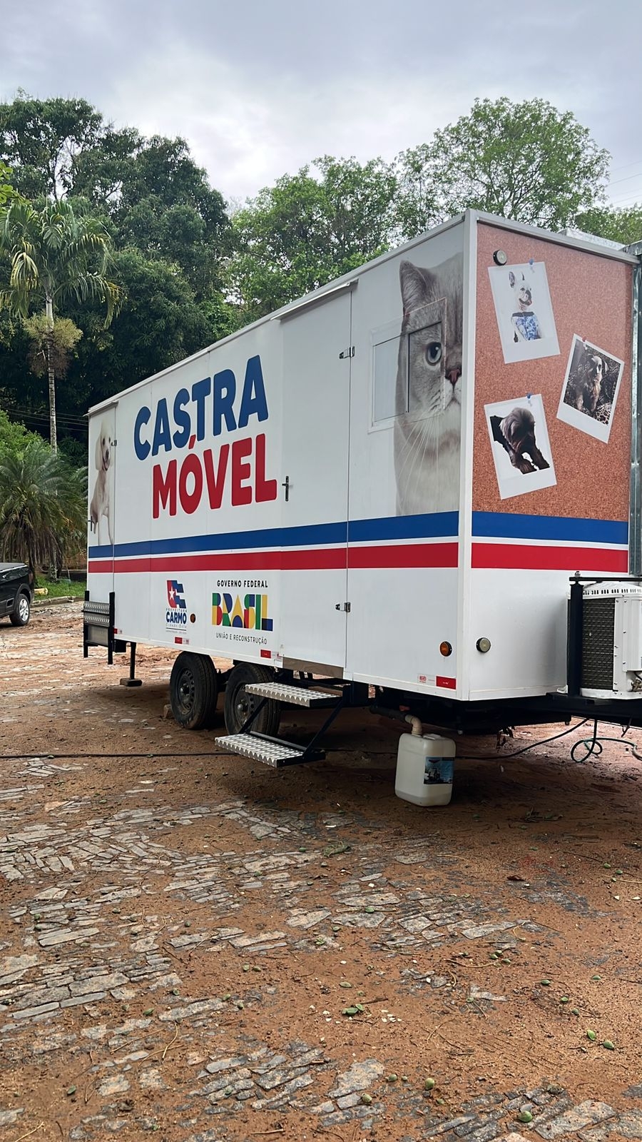 Castramovel no bairro Influência
