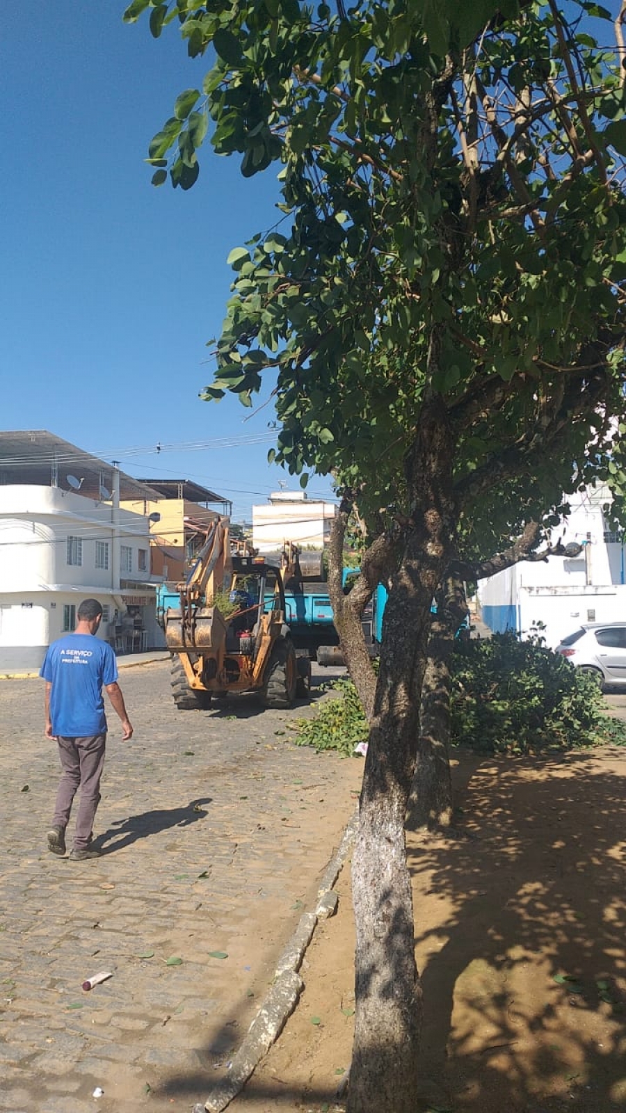 Secretária de Meio Ambiente e Serviço Público
