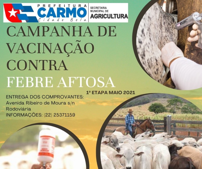 Campanha de vacinação contra FEBRE AFTOSA